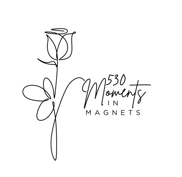 530 Moments in Magnets 